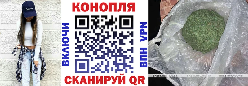 Купить где  Богородск  Марихуана индика 